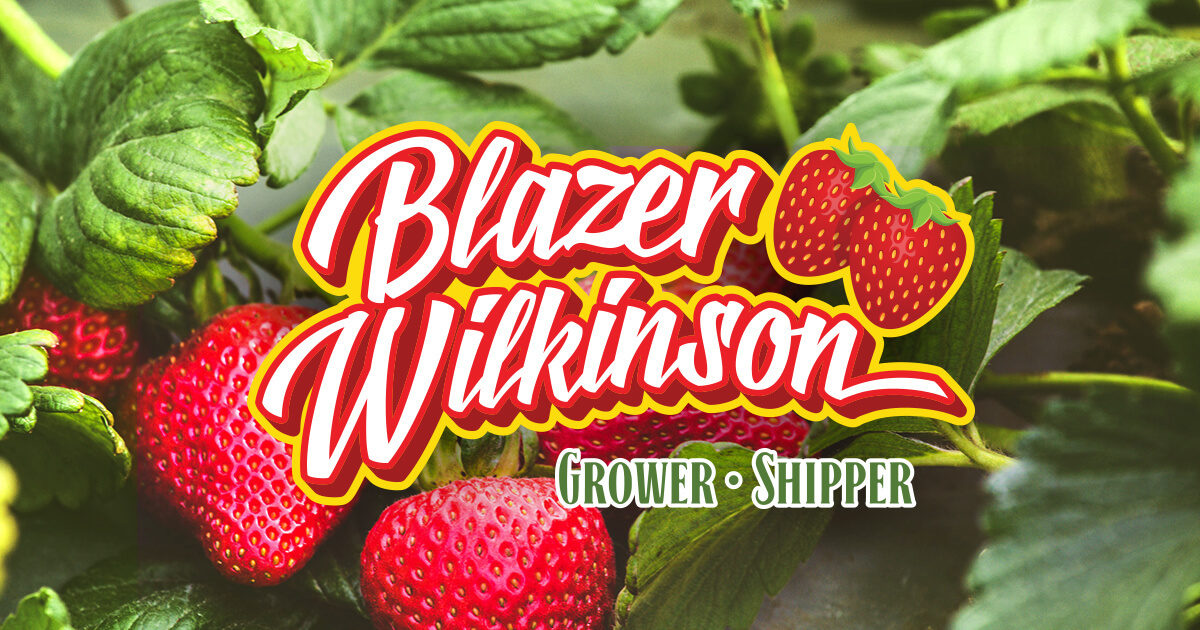 Blazer Wilkinson | Valentine's Day Strawberry Pavlova