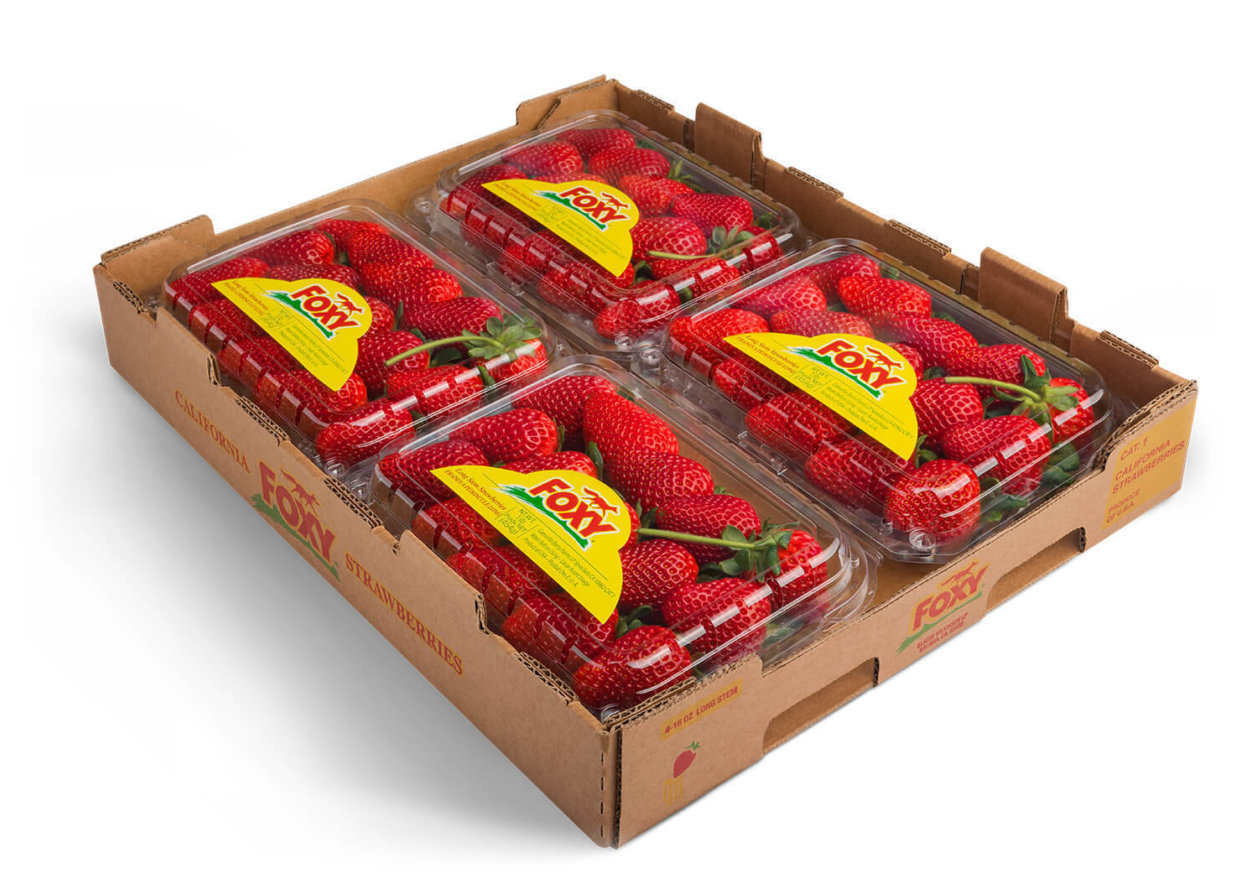 Blazer Wilkinson | 1 lb Long Stem Strawberry
