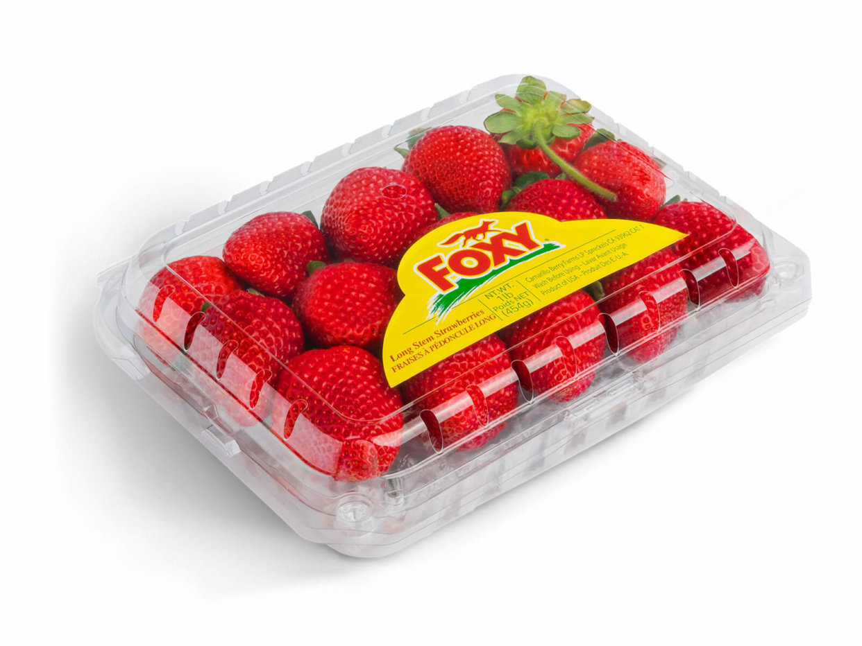 Blazer Wilkinson | 1 lb Long Stem Strawberry