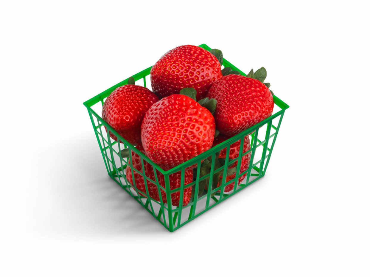 Blazer Wilkinson Pints / Foodservice Pack